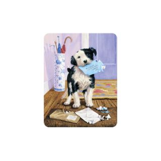Obrázek z Magnet 3D 7x9cm - pes s roztrhanými dopisy (25) 